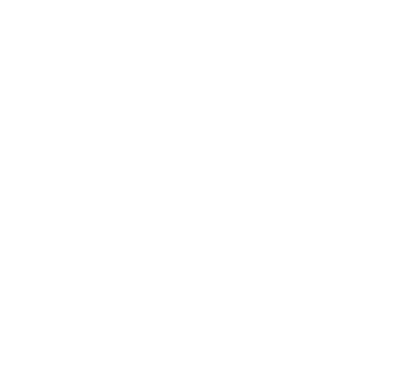 Alpha Mobile Detailing wolf logo